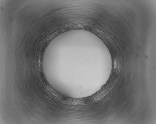 X0000085801011200703160954