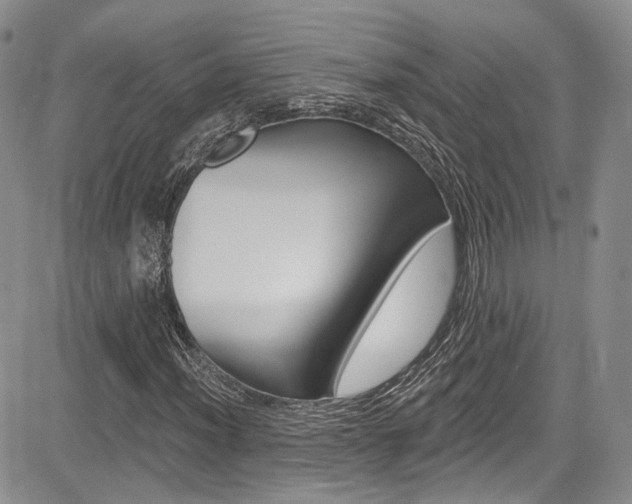 X0000085801012200703160954