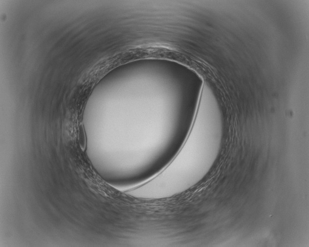 X0000085801014200703160954