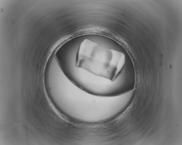 X0000085801034200703160954