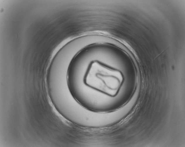 X0000085801054200703160954