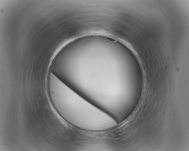 X0000085801056200703160954