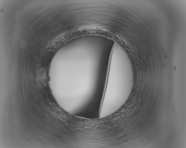 X0000085801062200703160953