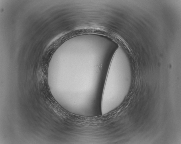 X0000085801064200703160953