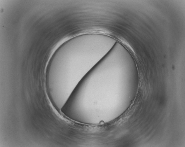 X0000085801087200703160953