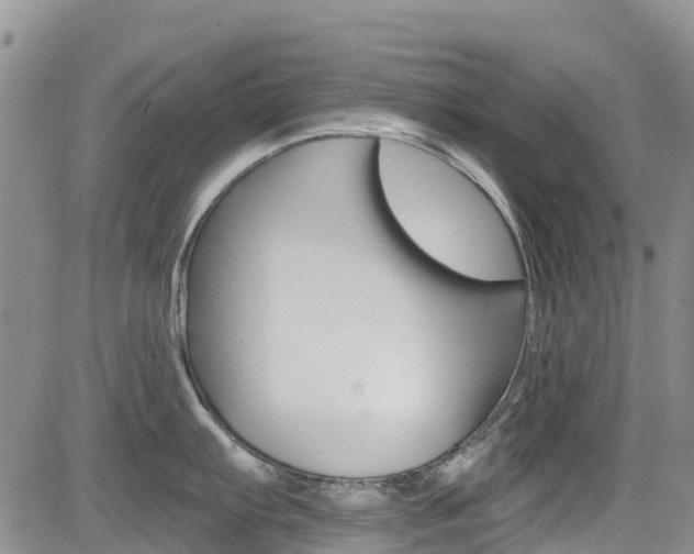 X0000085801103200703160953