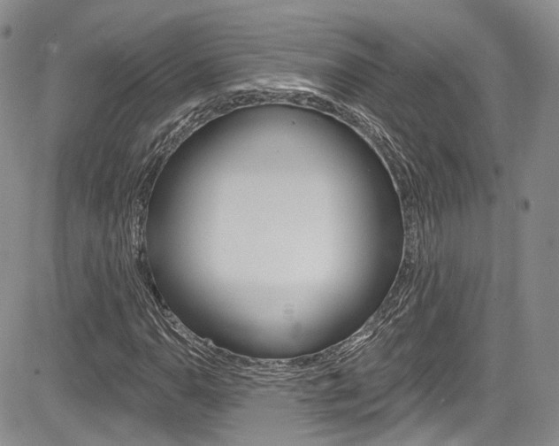 X0000085801110200703160952