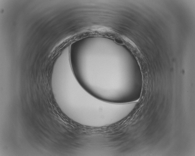 X0000085801112200703160952