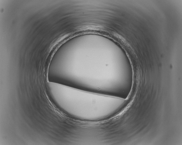 X0000085801113200703160952