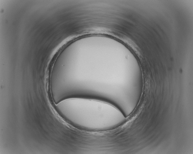 X0000085801126200703160952