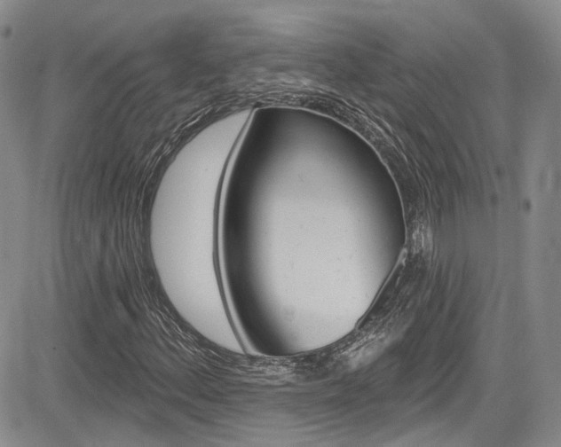 X0000085801156200703160952