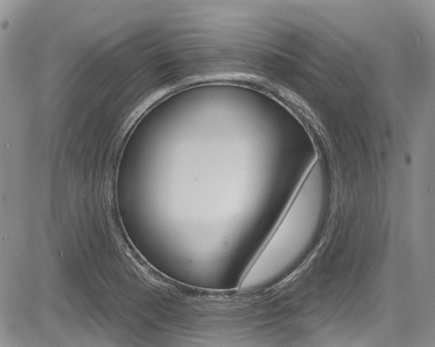 X0000085801177200703160952