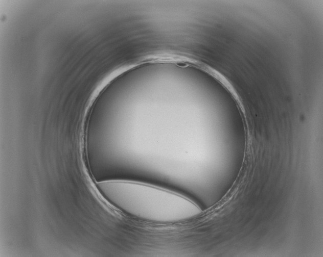 X0000085801195200703160951