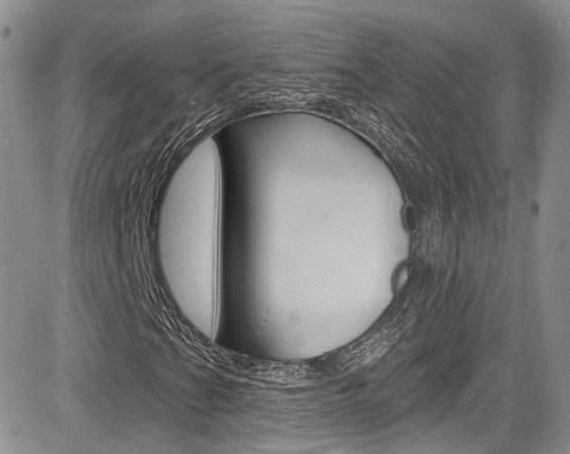 X0000085801201200703160950