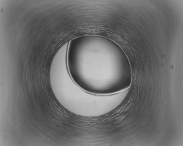 X0000085801202200703160950