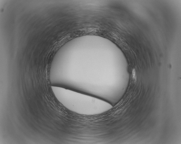 X0000085801203200703160950