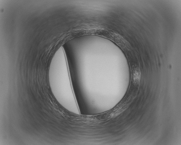 X0000085801204200703160950