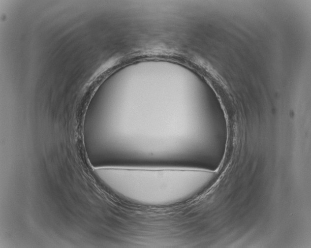 X0000085801213200703160951