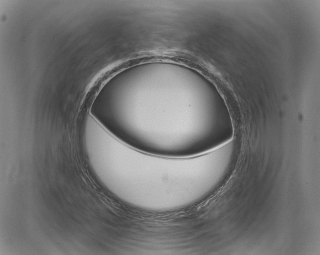 X0000085801214200703160951