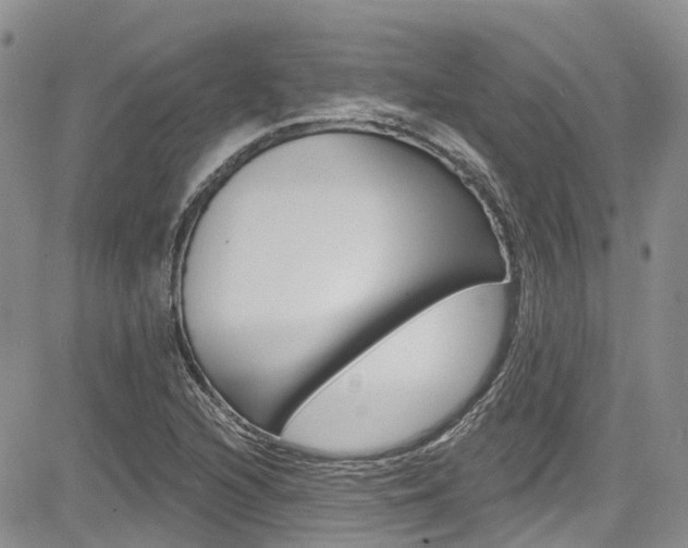 X0000085801216200703160951