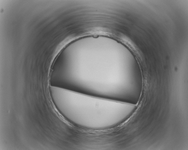 X0000085801236200703160951