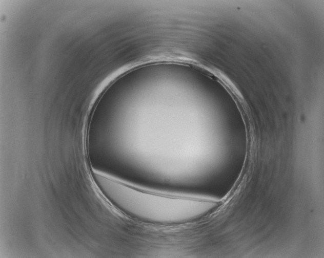 X0000085801246200703160951
