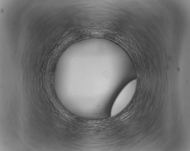 X0000085801249200703160950