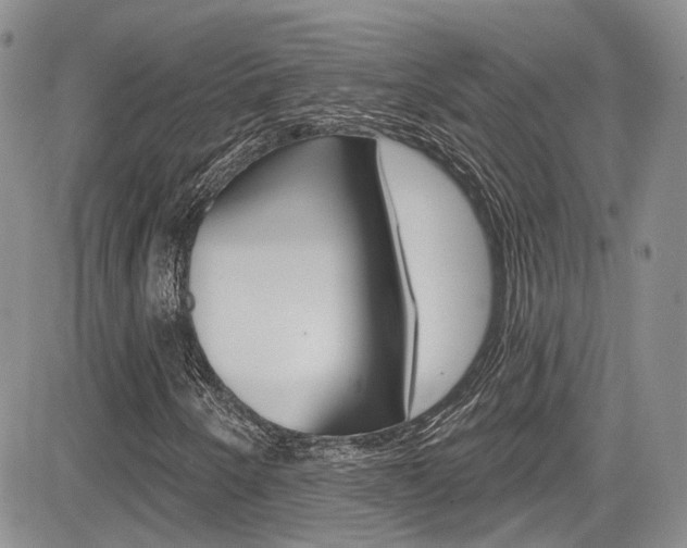 X0000085801250200703160950