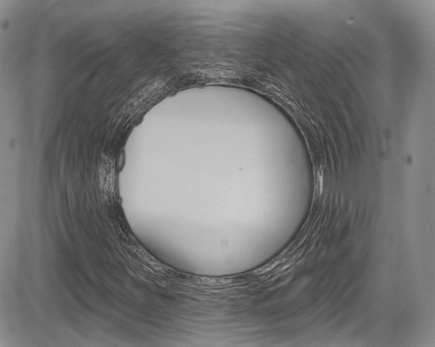 X0000085801251200703160950