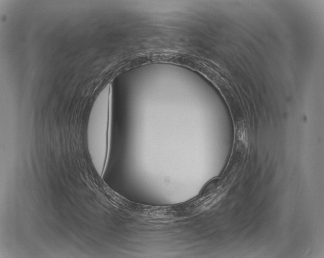 X0000085801252200703160950