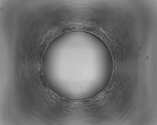X0000085801253200703160950