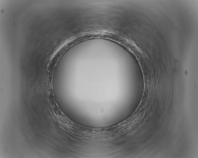 X0000085801256200703160950
