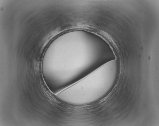 X0000085801260200703160950