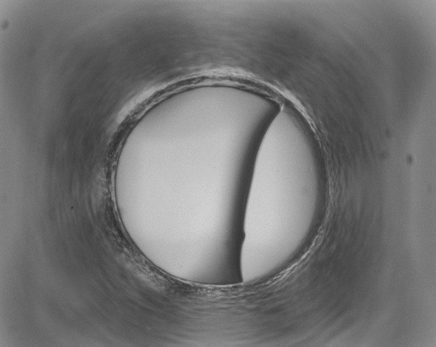 X0000085801263200703160950