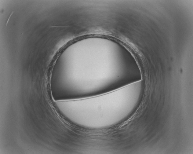 X0000085801264200703160950
