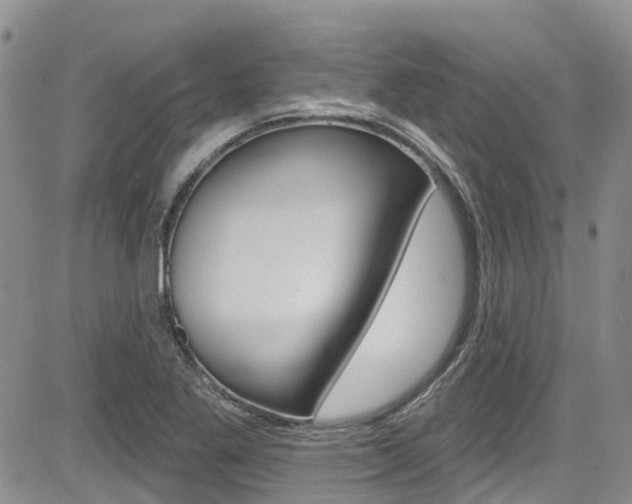X0000085801269200703160950