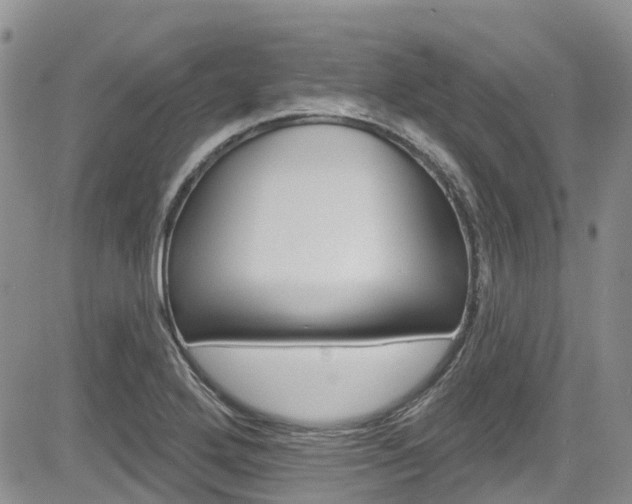 X0000085801272200703160950