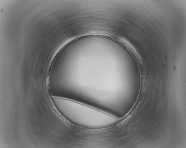 X0000085801284200703160950