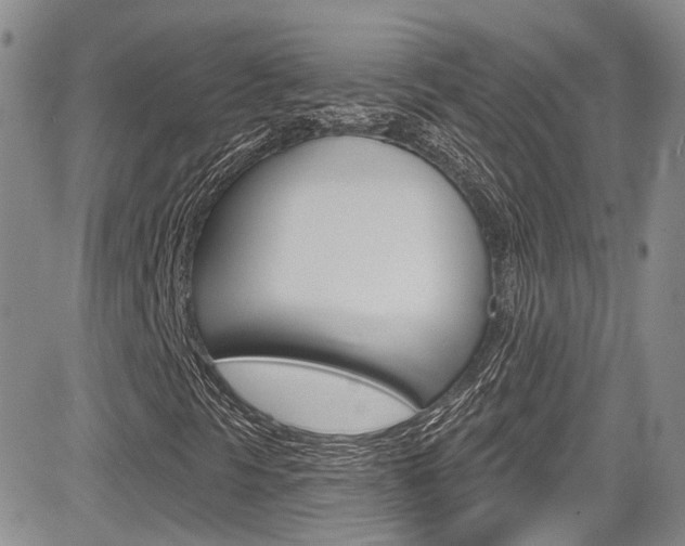 X0000085801297200703160949