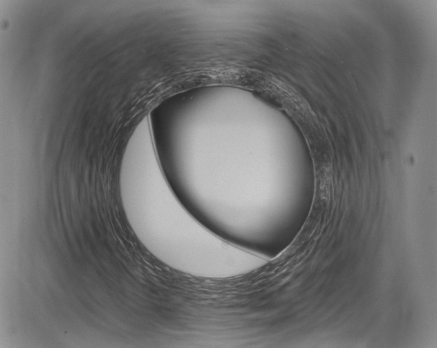X0000085801298200703160949
