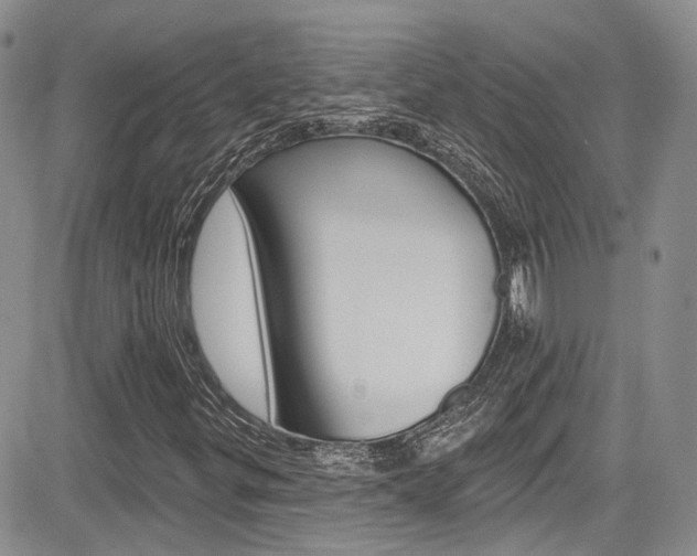 X0000085801299200703160949