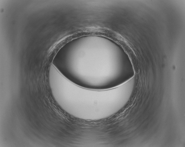 X0000085801304200703160949