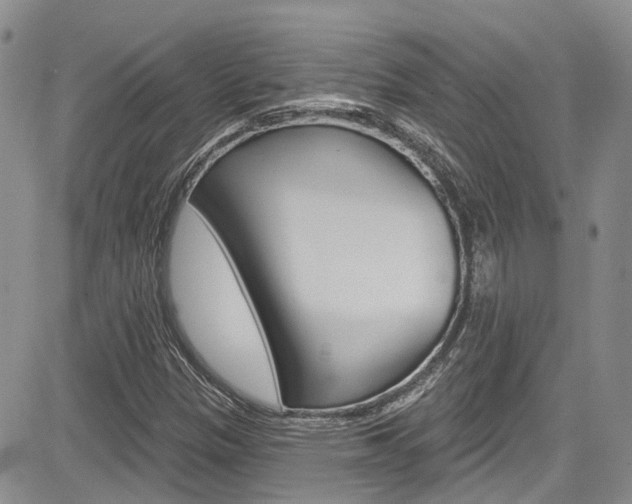 X0000085801305200703160949