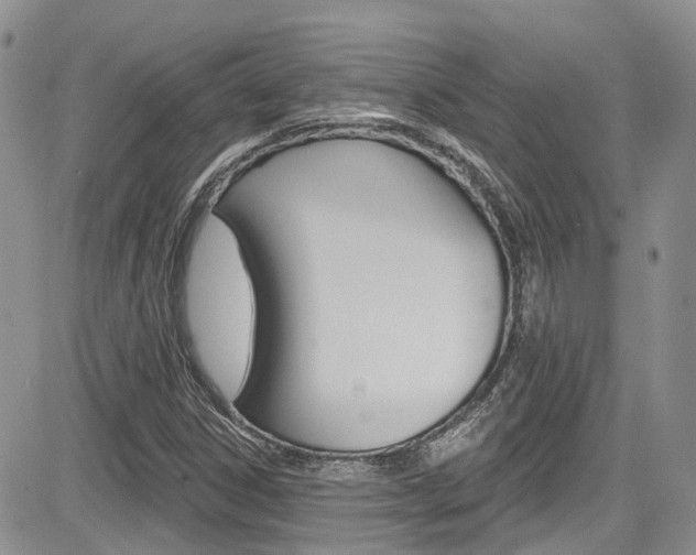 X0000085801306200703160949