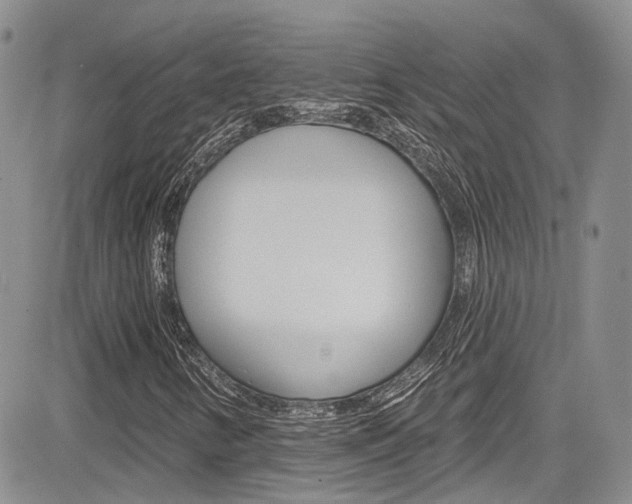 X0000085801346200703160949