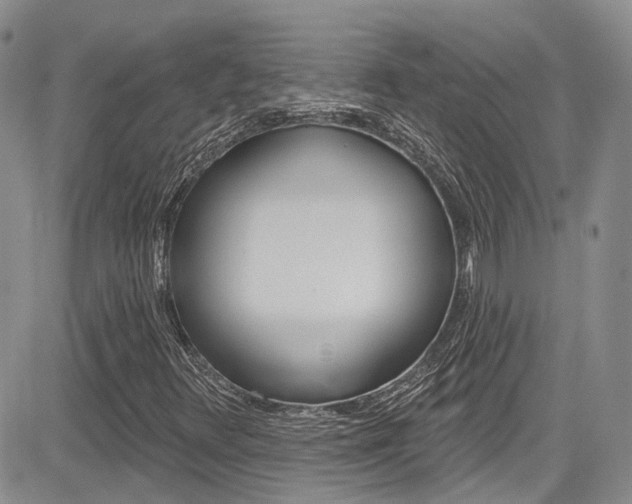 X0000085801348200703160949
