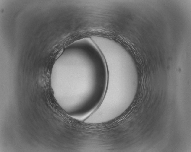 X0000085801349200703160949