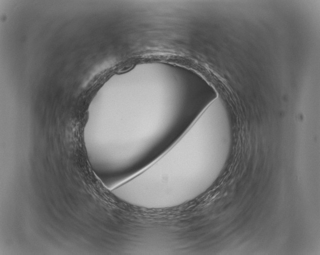 X0000085801351200703160949