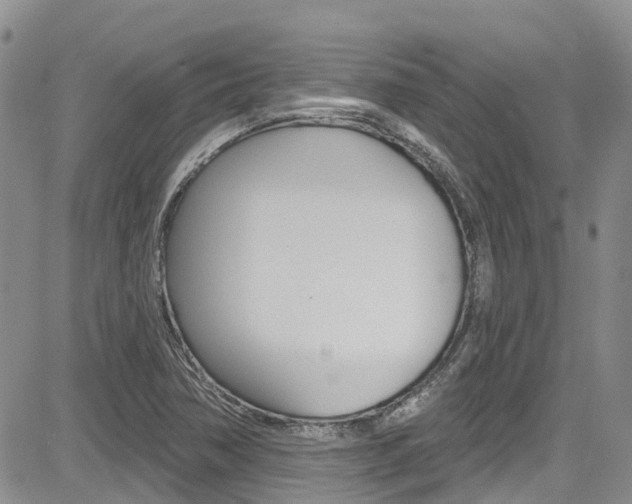 X0000085801362200703160948
