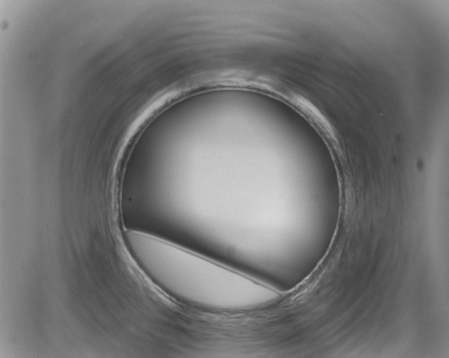 X0000085801384200703160948
